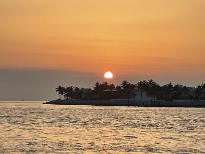 IMG_7482.JPG