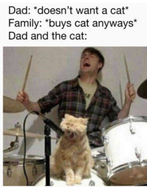 1689538638847.png