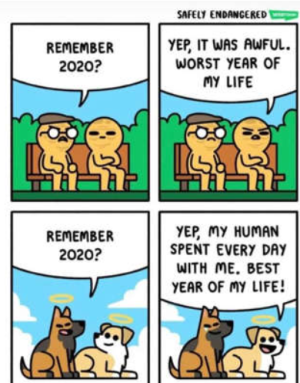 1689538817381.png