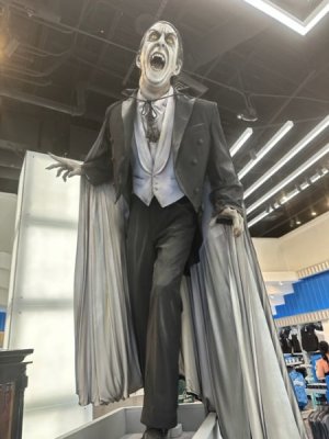 IMG_9950.jpeg