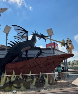 IMG_9960.jpeg