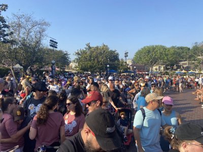 IMG_5443.jpeg