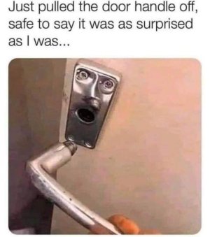 IMG_8306.jpeg