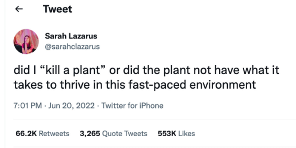 1689795131285.png