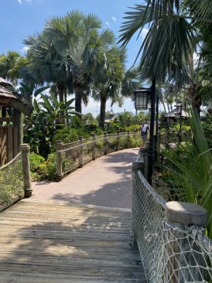 IMG_2352.jpeg