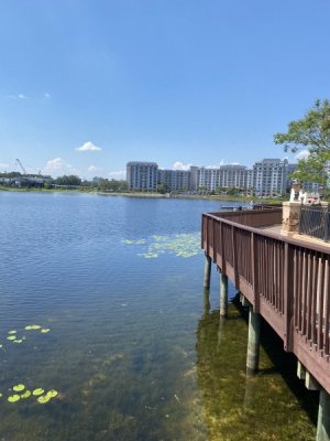 IMG_2347.jpeg