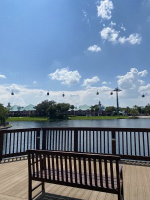 IMG_2344.jpeg