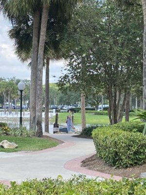 IMG_1962.JPEG