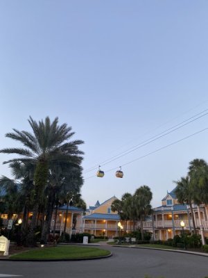 IMG_1972.JPEG