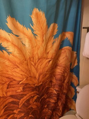 IMG_1985.JPEG