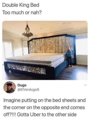 IMG_1817.jpeg