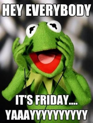 its-friday-kermit-meme.jpeg~2.jpg