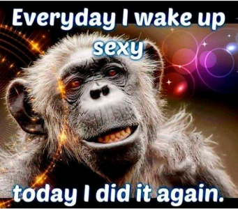 1690082369952.png