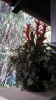 upload_2015-2-16_18-35-59.png