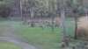 upload_2015-2-16_20-40-38.png