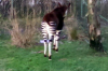 upload_2015-2-16_20-45-22.png