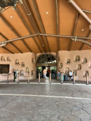 IMG_2952.jpeg