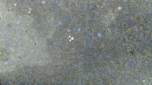 1690300775022.png 1690300775022.png