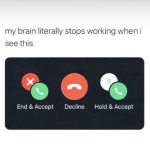 1690328236233.jpeg