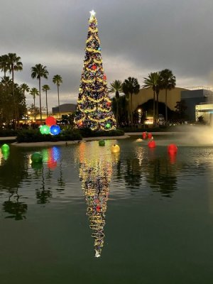 IMG_0159.jpeg
