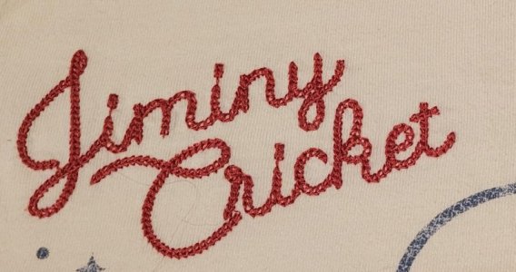 dis shirt embroidery.jpg