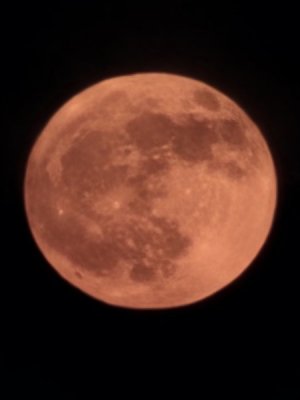 20230603_212342.jpg