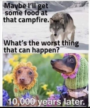 1690542458793.png