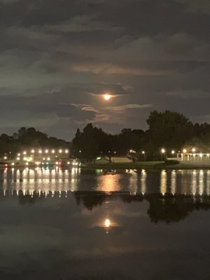 IMG_1053.jpeg