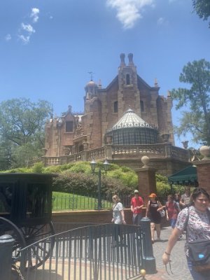 IMG_3855.jpeg