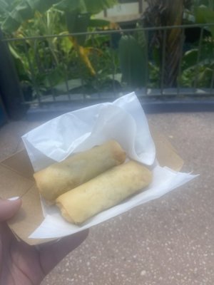 IMG_3857.jpeg