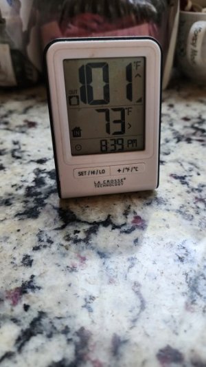 20230728_132726.jpg