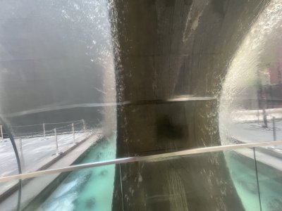 IMG_1696.jpeg
