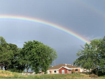 IMG_1371.jpeg