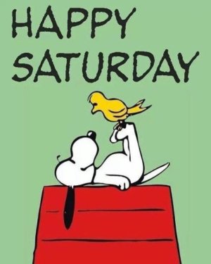 10-Best-Snoopy-Quotes-For-Saturday-48990-2.jpg