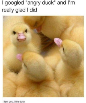 1690693556451.png