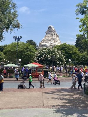 IMG_5625.jpeg