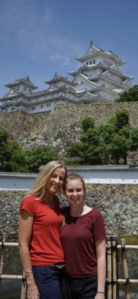 Himeji Castle.PNG