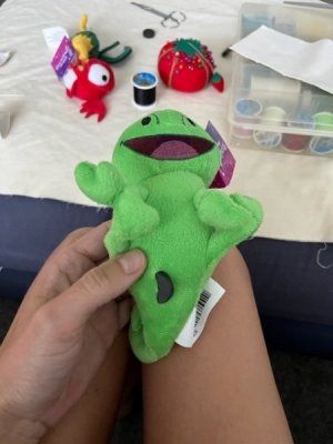 1690917007421.jpeg