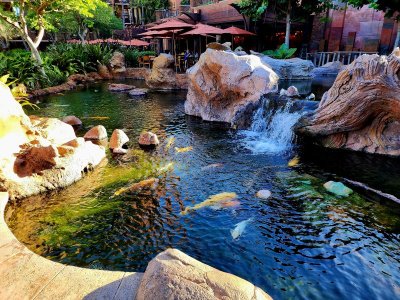 20230621_073351[1].jpg