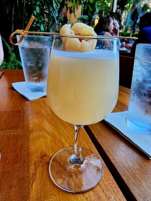 20230621_180843[2].jpg