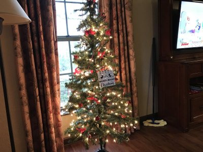 IMG_0001.jpeg