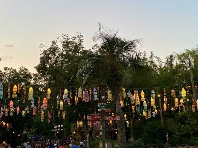 IMG_0209.jpeg