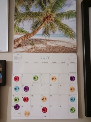20230802_201207.jpg