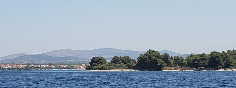 1691110998295.png