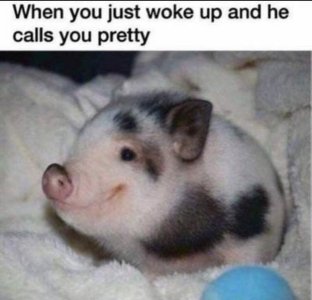 8DE3751E-C85E-4FDF-938C-B60C492B2ACD.jpeg