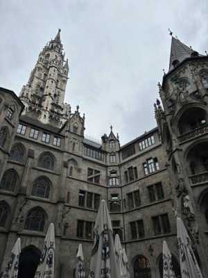 IMG_6014.jpeg