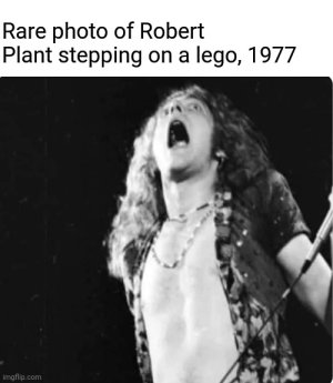 1691204291614.jpeg