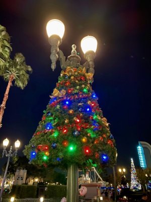 IMG_9157.jpeg