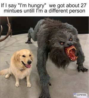 1691239604155.jpeg