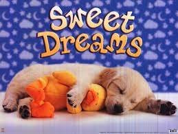 Sweet Dreams.jpg